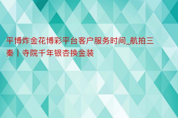 平博炸金花博彩平台客户服务时间_航拍三秦丨寺院千年银杏换金装